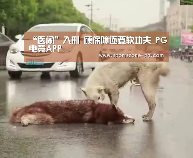 “医闹”入刑 硬保障还要软功夫_PG电竞APP(图2) PG电竞APP