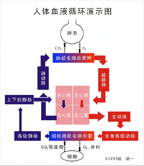 PG电竞APP