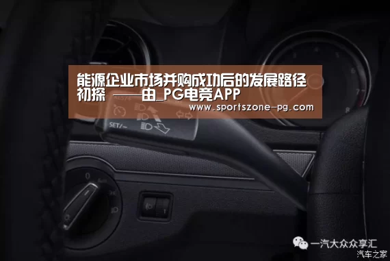 能源企业市场并购成功后的发展路径初探 ——由_PG电竞APP(图1) PG入口