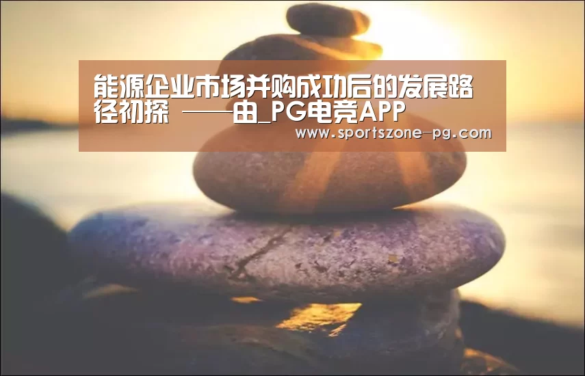 能源企业市场并购成功后的发展路径初探 ——由_PG电竞APP(图2) PG入口