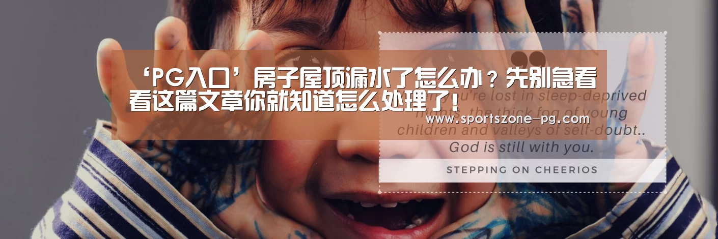 ‘PG入口’房子屋顶漏水了怎么办?先别急看看这篇文章你就知道怎么处理了!(图2) PG赛事